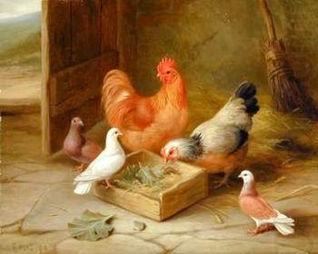 unknow artist poultry  141 oil painting picture